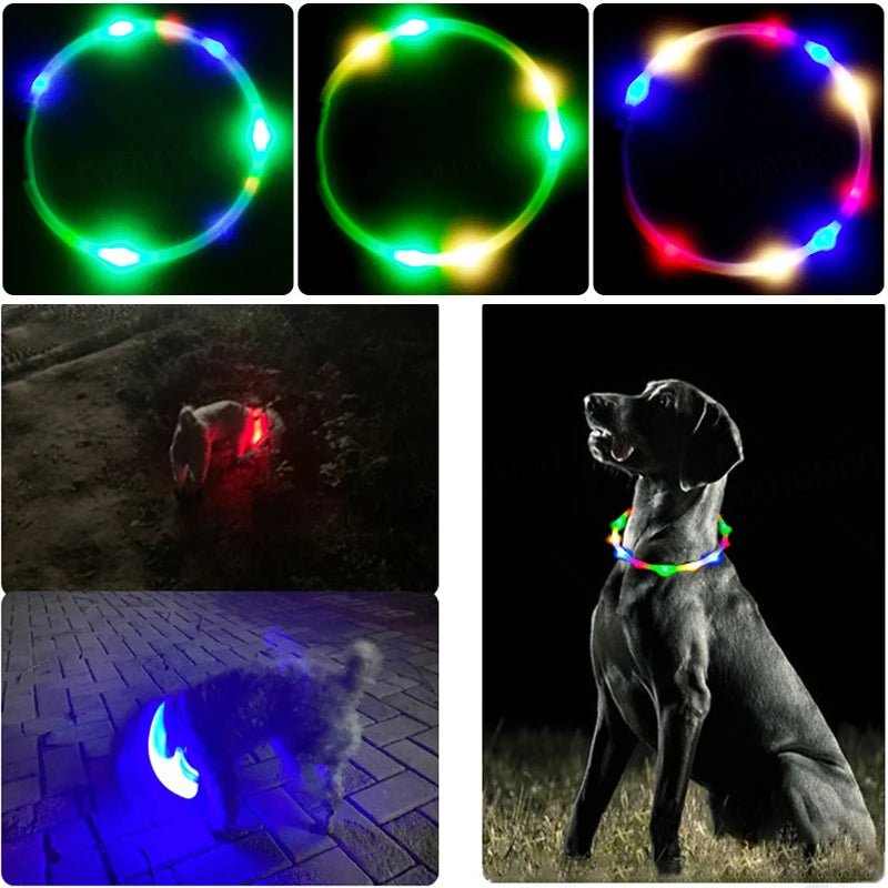 4 Modes Dog Luminou Charge Collar Led Usb Cat Silicone Colorful Collar Detachable Night Glow Pet Loss Prevention Dog Accessories