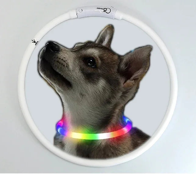 4 Modes Dog Luminou Charge Collar Led Usb Cat Silicone Colorful Collar Detachable Night Glow Pet Loss Prevention Dog Accessories