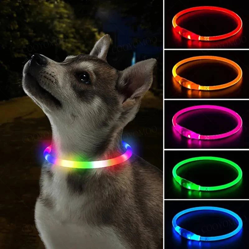 4 Modes Dog Luminou Charge Collar Led Usb Cat Silicone Colorful Collar Detachable Night Glow Pet Loss Prevention Dog Accessories