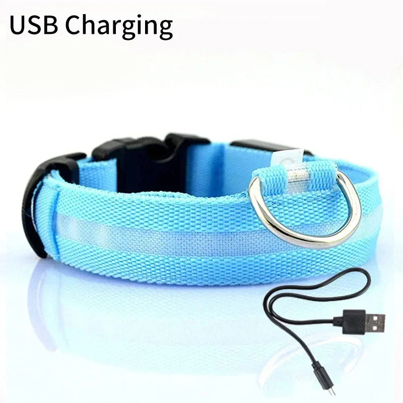 Pet Dog LED Glowing Collar USB Rechargeable Night Light Luminous Flashing Necklace Anti-Lost Outdoor Walking Safety Accesorios