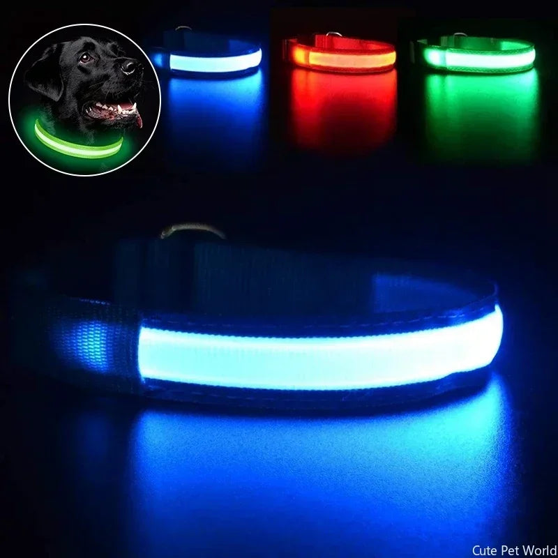 Pet Dog LED Glowing Collar USB Rechargeable Night Light Luminous Flashing Necklace Anti-Lost Outdoor Walking Safety Accesorios