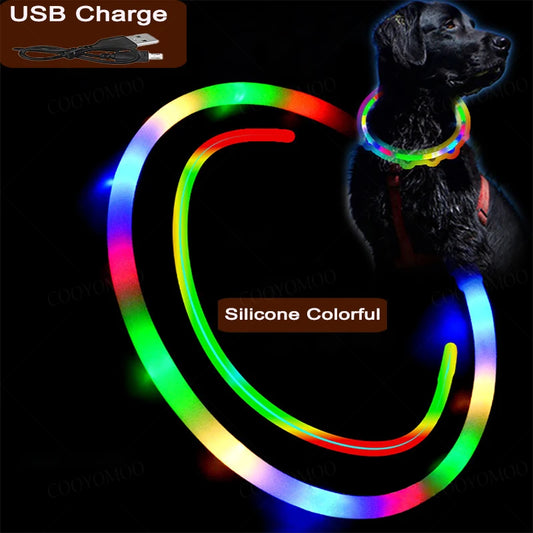 4 Modes Dog Luminou Charge Collar Led Usb Cat Silicone Colorful Collar Detachable Night Glow Pet Loss Prevention Dog Accessories