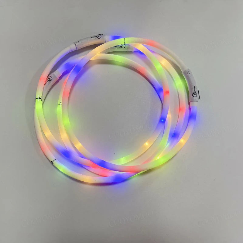 4 Modes Dog Luminou Charge Collar Led Usb Cat Silicone Colorful Collar Detachable Night Glow Pet Loss Prevention Dog Accessories