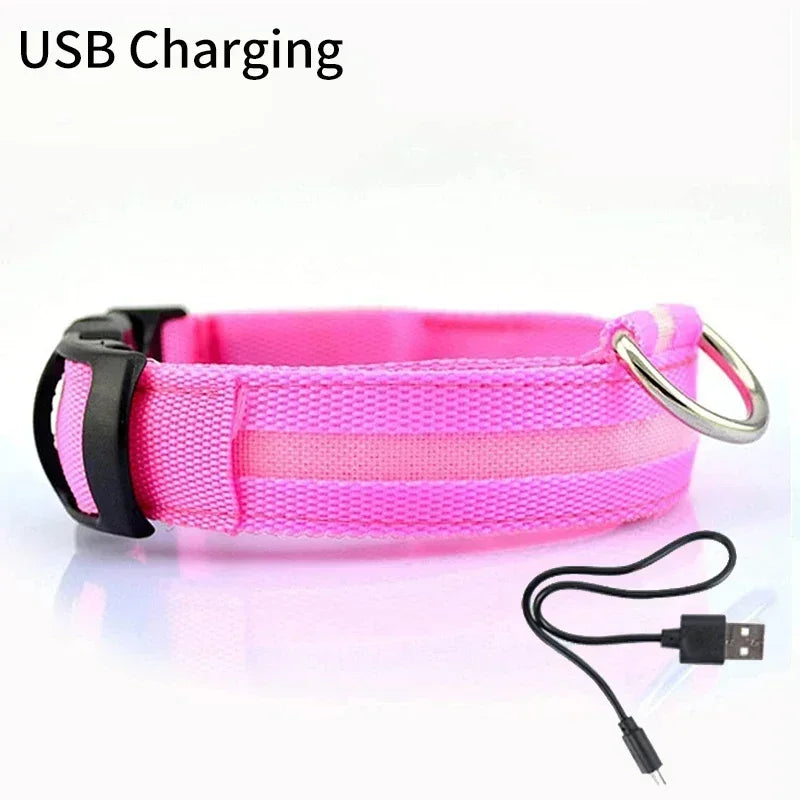 Pet Dog LED Glowing Collar USB Rechargeable Night Light Luminous Flashing Necklace Anti-Lost Outdoor Walking Safety Accesorios